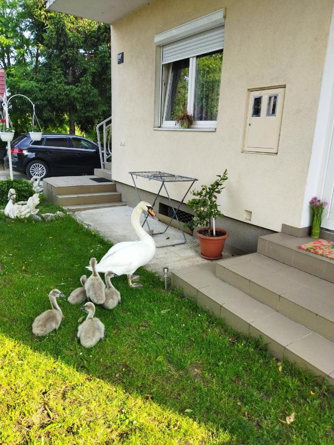 Apartman Na Jezeru ザグレブ エクステリア 写真