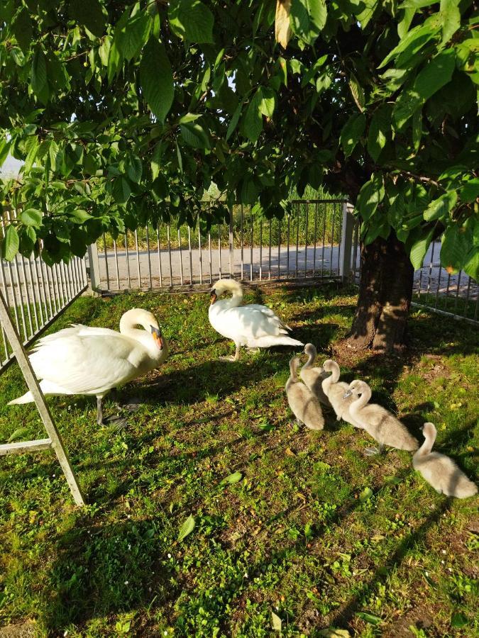 Apartman Na Jezeru ザグレブ エクステリア 写真